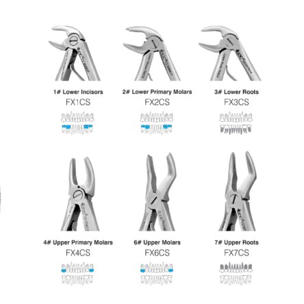 GDC Extraction Forceps Pedo Set Of 7 In Pouch Standard (EFPSP7)