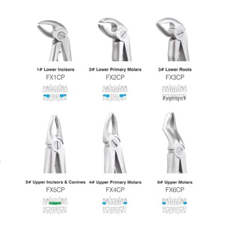 GDC Extraction Forceps Pedo Set Of 7 In Pouch Standard (EFPSP7)