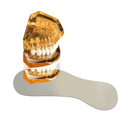 Waldent Wal-Vision P Photography Mirror Occlusal 4.1 x 3 (30/101)