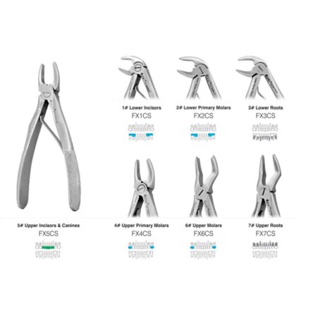 GDC Extraction Forceps Pedo Set Of 7 In Pouch Standard (EFPSP7)